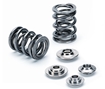 Picture of SuperTech 74lb Valve Springs and Titanium Retainer Kit