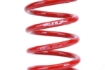 Picture of Skunk2 Lowering Springs - 2013-2020 BRZ/FR-S/86