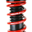 Picture of Skunk2 PRO-C FRS Coilovers - 541-12-6500