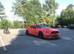 Picture of Verus Hood Louver kit GT Spec Hood Raw - Mustang GT 15+